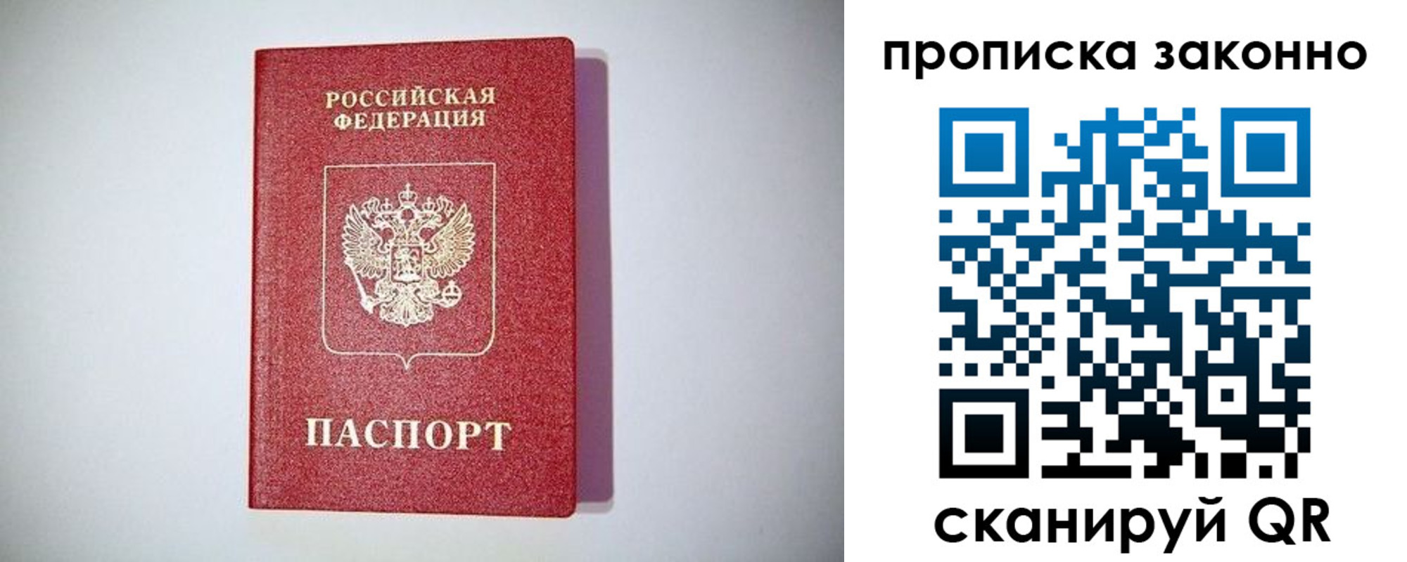 прописка для школы в Светлограде